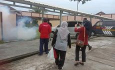 Permalink to CEGAH DBD DINAS KESEHATAN OKU SELATAN LAKUKAN FOGGING DAN PENYEBARAN ABATE