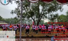Permalink to Relawan Ganjar Mahfud Lampung Gelar Senam Sehat di Kampung Poncowati