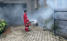 Permalink to Relawan Iqbal Terima Laporan Warga Terkena DBD, Relwan Terjunkan Tim Fogging Gratis