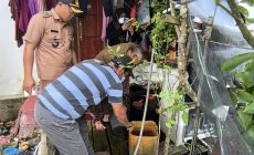 Permalink to KEPALA PUSKESMAS MARGO JADI GUSTIN SWASTIKA AYU TURUN KE DESA SUNGAI CAMBAI DALAM RANGKA MEMBASMI NYAMUK YANG MENGKIBATKAN WARGA TEJANGKIT VIRUS DBD 