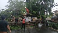 Permalink to BPBD Bandar Lampung Bergerak Cepat Evakuasi Pohon Tumbang, Akibat Hujan Deras dan Angin Kencang