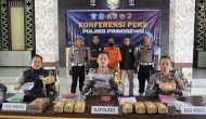 Permalink to Polres Pringsewu Tangkap Pengedar 76 Kg Ganja dan Pemilik Senjata Api Ilegal