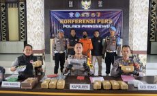Permalink to Polres Pringsewu Tangkap Pengedar 76 Kg Ganja dan Pemilik Senjata Api Ilegal