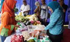 Permalink to Wagub Cik Ujang Didampingi Staf Ahli PKK Sumsel Lidyawati CU Tinjau Operasi Pasar Murah di Sukamaju Sako