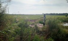 WARGA PERIBUMI DESA SUNGAI CAMBAI BERHARAP SENGKETA LAHAN SEGERA SELESAI