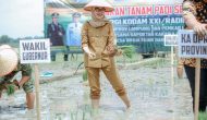Lampung Ikut Tanam Padi Serentak 2026, Wagub Jihan Nurlela Tekankan Akselerasi Produksi Padi 