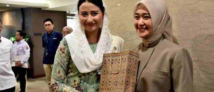 Wagub Jihan Nurlela Gelar Pertemuan dengan Wamen Perdagangan Dyah Roro Esti di Jakarta