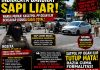 Permalink to “INDRALAYA DARURAT SAPI LIAR!”  Warga Murka, Kasatpol PP Ogan Ilir Rosita Diduga Gagal Total, Jalan Raya Berubah Jadi Kandang Ternak