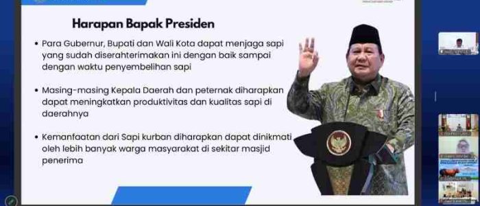 Pemprov Lampung Terima Sapi Kurban Bantuan Presiden untuk Iduladha 2026
