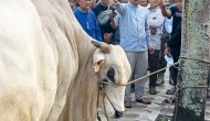 Permalink to Bupati Anwar Sadat Serahkan Sapi Kurban Bantuan Presiden RI di Masjid Raya Al Muttaqin