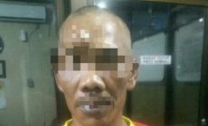 Permalink to Curi Buah Sawit Milik Perusahaan, Warga Bungo Diserahkan ke Polisi
