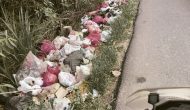 Permalink to Jorok.!! Tumpukan Sampah Di Perbatasan Desa Fajar Baru Dan Karang Sari Menjadi Ancaman Lingkungan