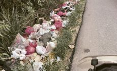 Permalink to Jorok.!! Tumpukan Sampah Di Perbatasan Desa Fajar Baru Dan Karang Sari Menjadi Ancaman Lingkungan