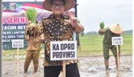 Permalink to Ketua DPRD Provinsi Lampung, A. Giri Akbar, S.E., M.B.A., Menghadiri Kegiatan Tanam Padi Bersama Forum Koordinasi Pimpinan Daerah 