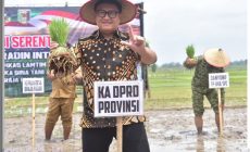 Permalink to Ketua DPRD Provinsi Lampung, A. Giri Akbar, S.E., M.B.A., Menghadiri Kegiatan Tanam Padi Bersama Forum Koordinasi Pimpinan Daerah 