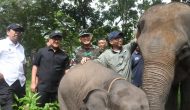 Permalink to Ketua DPRD Provinsi Lampung menghadiri Kegiatan Gerakan Bersatu dengan Alam yang Diselenggarakan oleh Kodam XX/Radin Inten