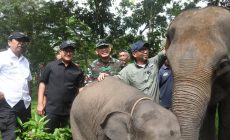 Permalink to Ketua DPRD Provinsi Lampung menghadiri Kegiatan Gerakan Bersatu dengan Alam yang Diselenggarakan oleh Kodam XX/Radin Inten