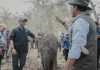 Permalink to Pemprov Lampung Dorong Keseimbangan Konservasi Gajah dan Aktivitas Masyarakat
