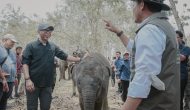 Pemprov Lampung Dorong Keseimbangan Konservasi Gajah dan Aktivitas Masyarakat Pemprov Lampung Dorong Keseimbangan Konservasi Gajah dan Aktivitas Masyarakat