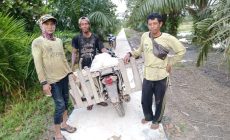 Permalink to Terimakasih Pak Kades Sungai Cambai, Adanya Pembangunan Jalan Warga Petani Semangat Menjalankan Aktivitas Bekerja Di Sawah