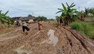 Permalink to Akibat Jalan Rusak Siswa Malas Berangkat Ke Sekolah, Kades Tirta Laga Mengambil Tindakan Gotong Royong. Berharap Pemda Mesuji Berikan Perhatian