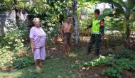 Permalink to Babinsa Koramil 426-02 Menggala Sosialisasikan pemanfaatan Lahan kosong sekeliling Rumah warga. 