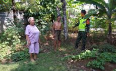 Permalink to Babinsa Koramil 426-02 Menggala Sosialisasikan pemanfaatan Lahan kosong sekeliling Rumah warga. 