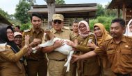 Permalink to Gubernur Realisasikan Lampung sebagai Lumbung Ternak dan Pemasok Pangan DKI Jakarta
