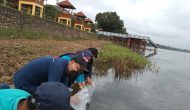 Permalink to Jaga Ekosistem, 140 Ribu Benih Ikan Ditebar