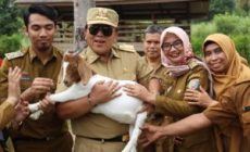 Permalink to Gubernur Arinal Gerak Cepat Realisasikan Lampung sebagai Lumbung Ternak dan Pemasok Pangan DKI Jakarta