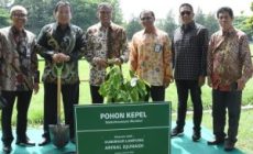 Permalink to Upaya Gubernur Arinal Buka Akses Pupuk bagi Petani Direspons Positif, 2 Perusahaan Siap Suplay Kebutuhan Pupuk Program Kartu Petani Berjaya