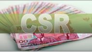 Permalink to Pemkab Tubaba Harus Memberi Sanksi Tegas, Kepada Perusahaan yang ada di Tubaba Tidak Salurkan CSR