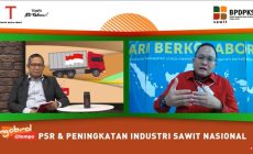 Peremajaan Sawit di Muba Penopang Perekonomian Nasional