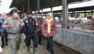 Permalink to Mentan Syahrul Yasin Limpo Dukung Penuh Gubernur Arinal Wujudkan Lampung sebagai Lumbung Ternak Nasional