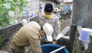 Permalink to Wabup Pringsewu Pantau Kegiatan PSN di Gadingrejo