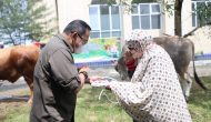 Permalink to Pemkab Muba Kurban 30 Ekor Sapi, Bupati Dodi Serahkan Langsung ke Warga